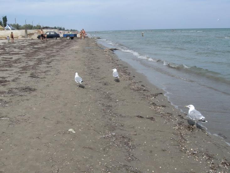Геніченська Гірка з panoramio.com - Геническая Горка