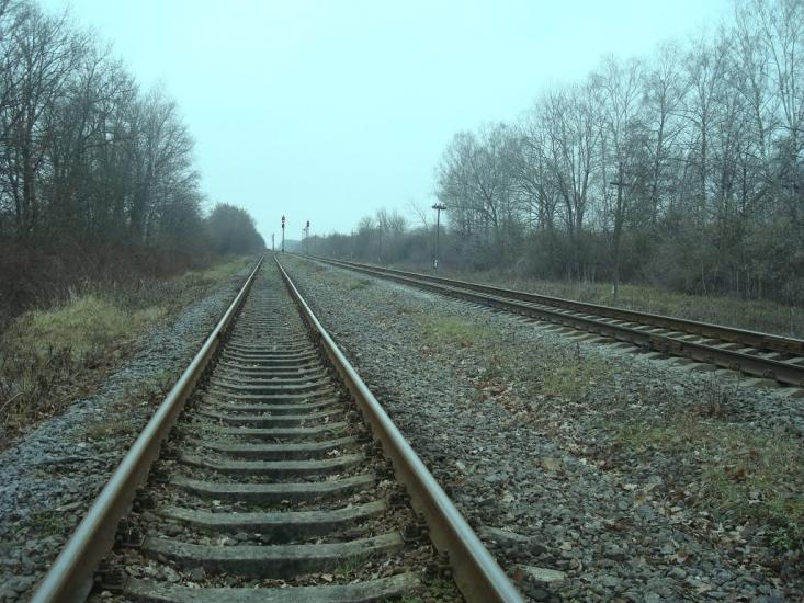 Воронківці з panoramio.com - Воронковцы