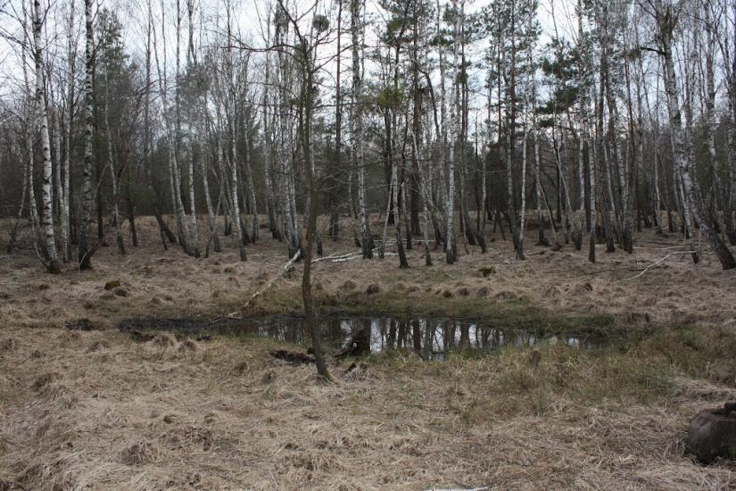 Хоцьки з panoramio.com - Хоцки