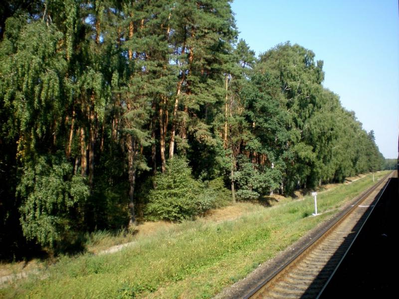 Кам'янка з panoramio.com - Каменка