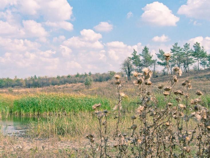 Стаханов з panoramio.com - Стаханов