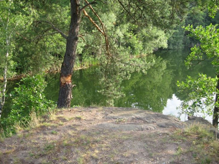 Шамраївка з panoramio.com - Шамраевка