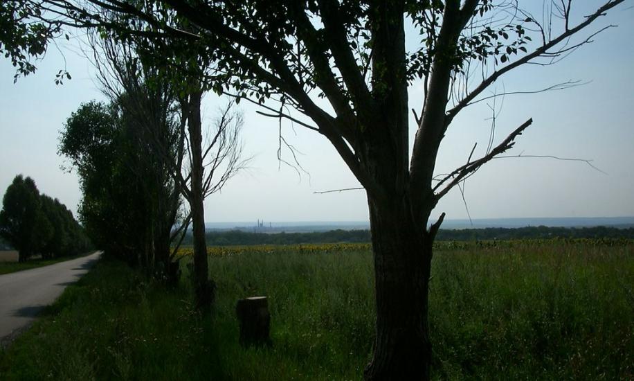 Доломітне з panoramio.com - Доломітне