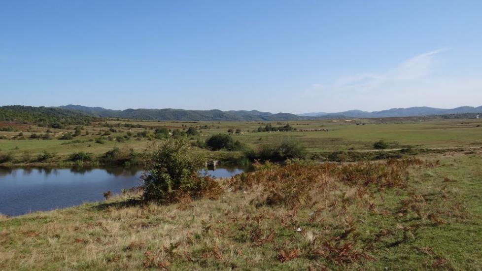 Кричово з panoramio.com - Кричово