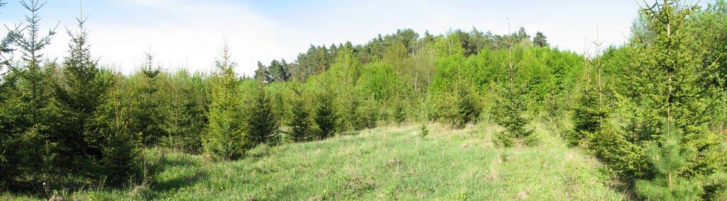 Бахматівці з panoramio.com - Bakhmativtsi