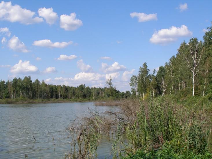 Мошни з panoramio.com - Мошны
