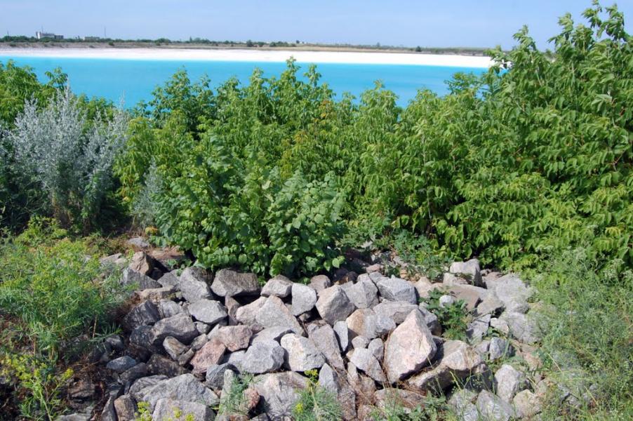 Сиротине з panoramio.com - Syrotyne