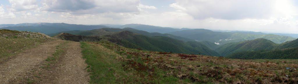 Усть-Чорна з panoramio.com - Усть-Чорна