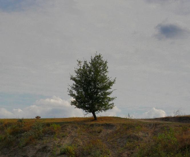 Юрки з panoramio.com - Yurky