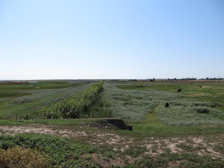 Стокопані з panoramio.com - Стокопани
