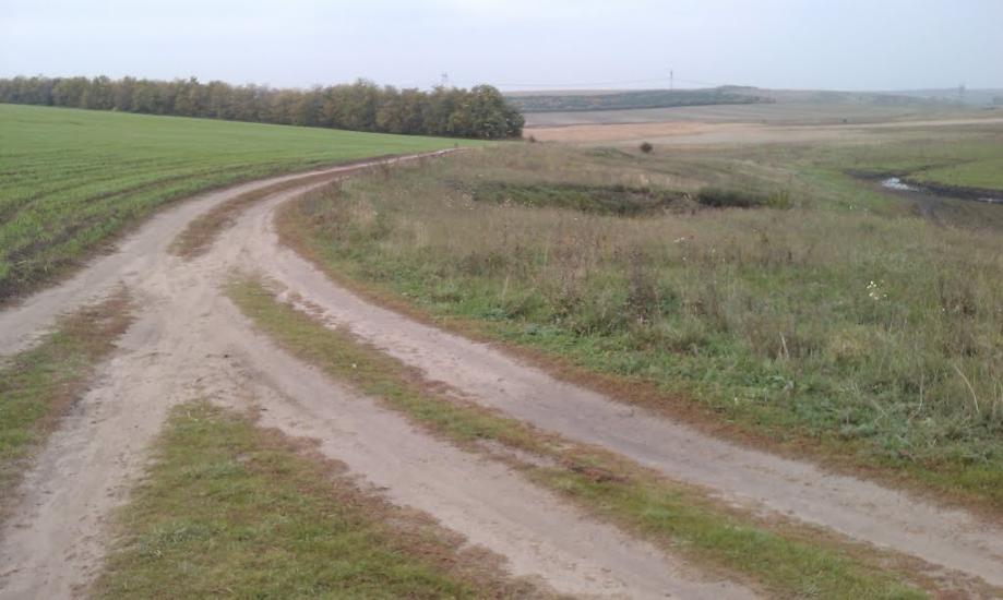 Кам'янка з panoramio.com - Камянка