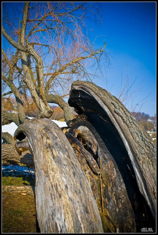 Городок з panoramio.com - Gorodok