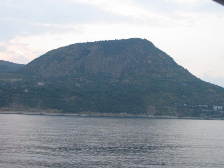 Чайка з panoramio.com - Чайка