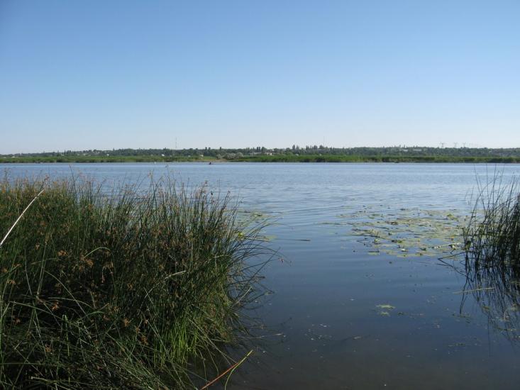 Гур'ївка з panoramio.com - Guryivka