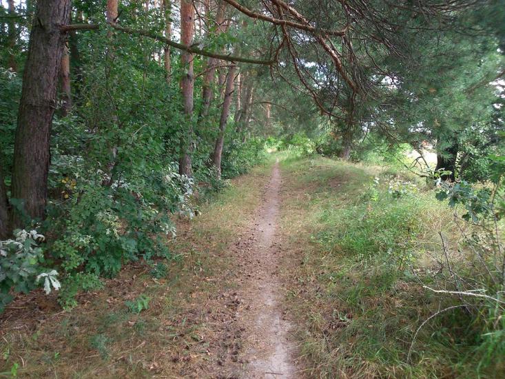Селище з panoramio.com - Селище