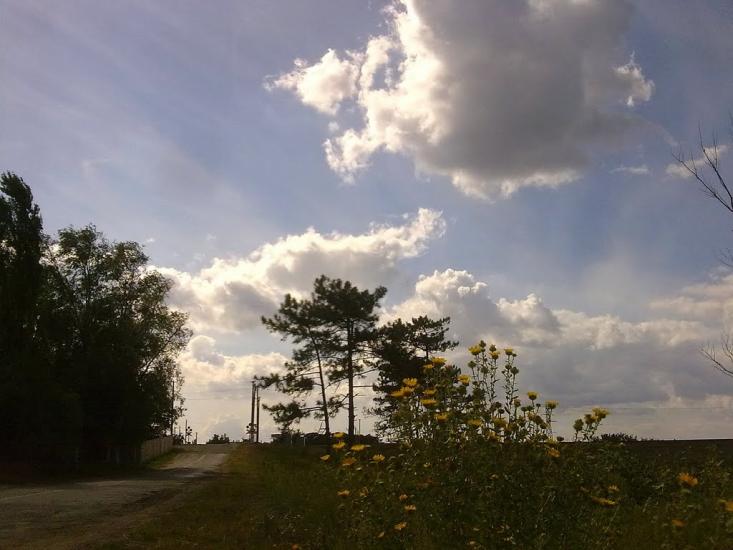 Піщанівка з panoramio.com - Песчановка