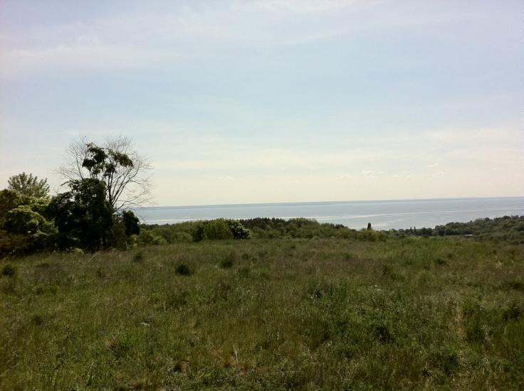 Григорівка з panoramio.com - Григоровка