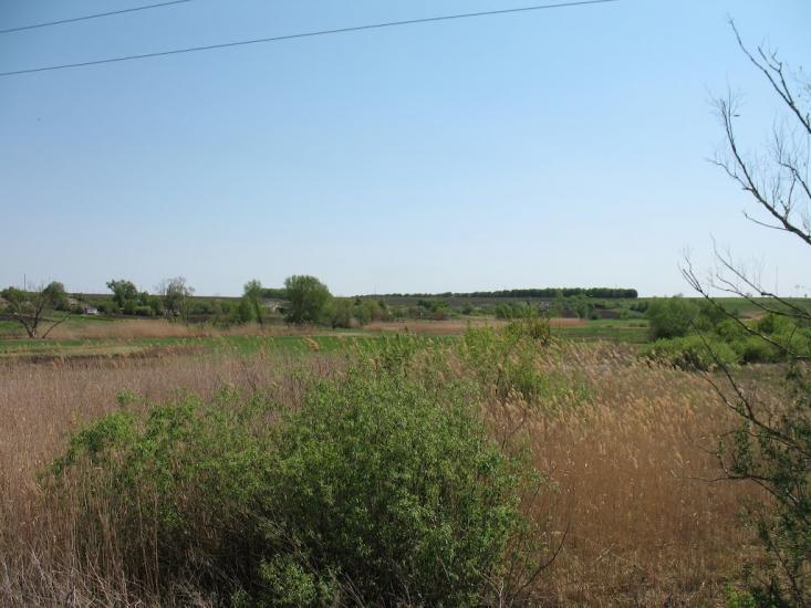 Аркадівка з panoramio.com - Аркадівка