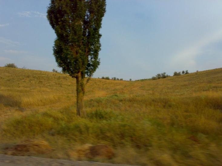 Берегове з panoramio.com - Берегово