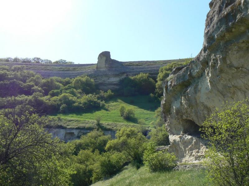 Тополі з panoramio.com - Тополі