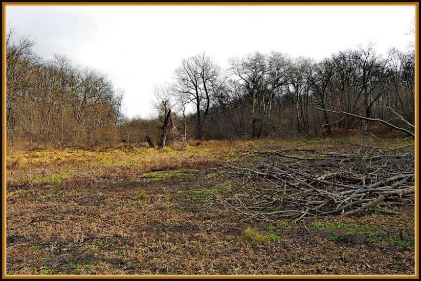 Шипилівка з panoramio.com - Shypylivka