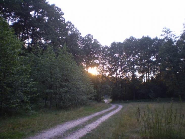 Старий Білоус з panoramio.com - Staryy Bilous