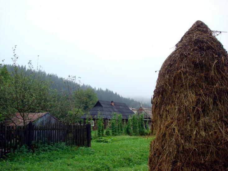 Прокурава з panoramio.com - Прокурава