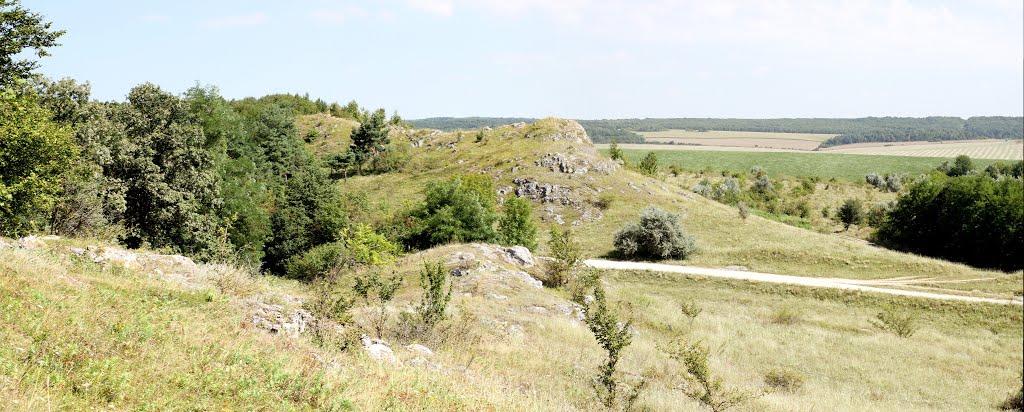 Нігин з panoramio.com - Негин