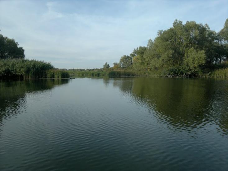 Карнаухівка з panoramio.com - Karnaukhivka