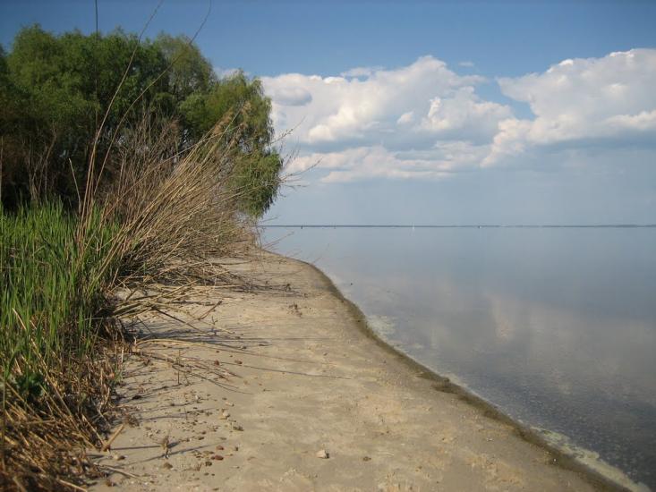 Григорівка з panoramio.com - Григоровка