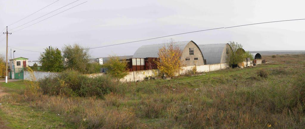 Снігурівка з panoramio.com - Снигиревка