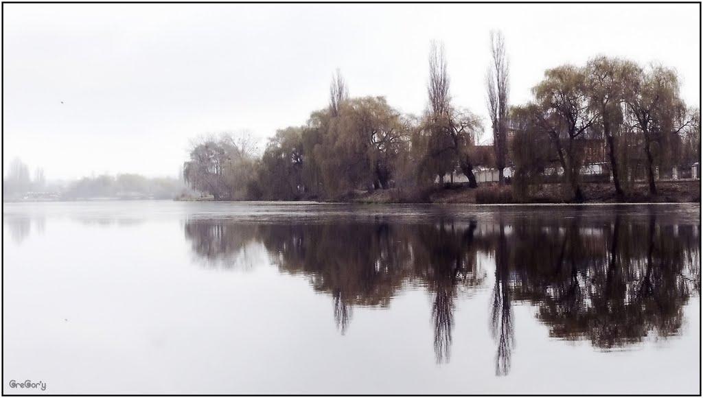 Прибузьке з panoramio.com - Прибугское