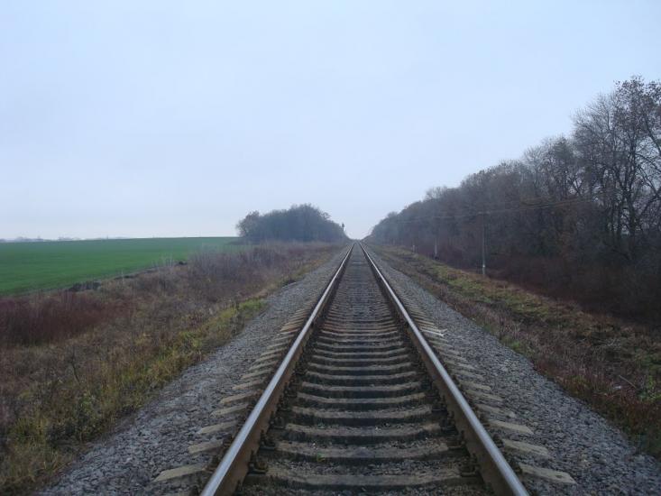 Воронківці з panoramio.com - Воронковцы