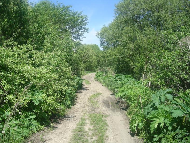 Мацьківці з panoramio.com - Мацьківці