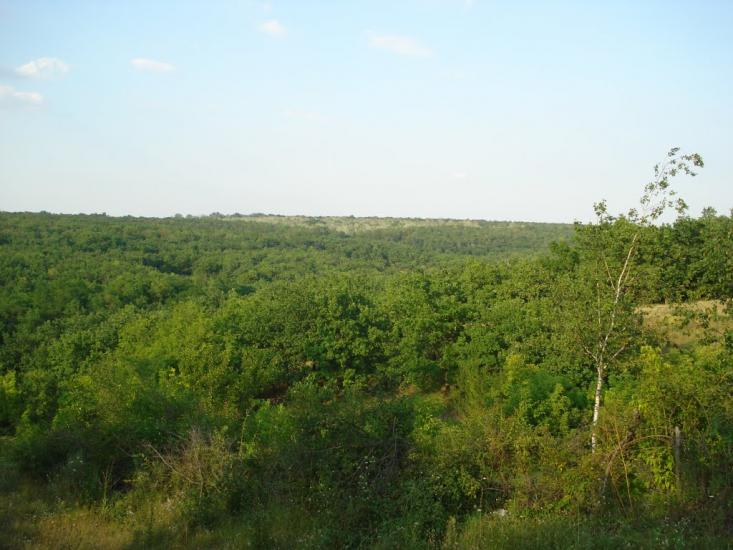 Горького з panoramio.com - Горького
