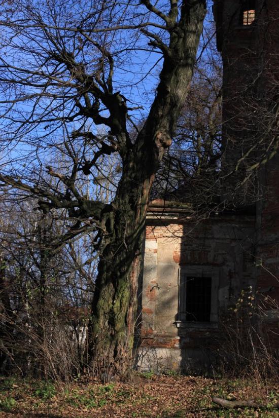 Годовиця з panoramio.com - Годовиця