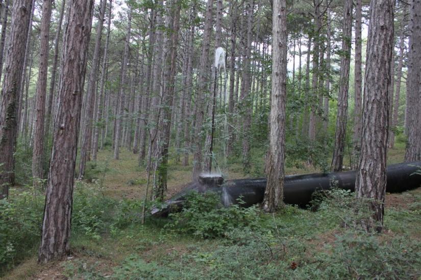 Відрадне з panoramio.com - Відрадне