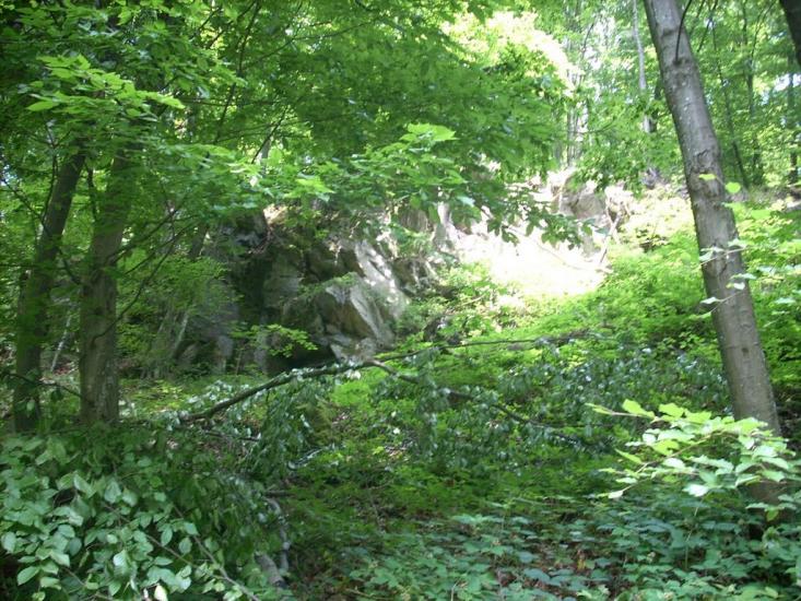 Кам'яниця з panoramio.com - Кам'яниця