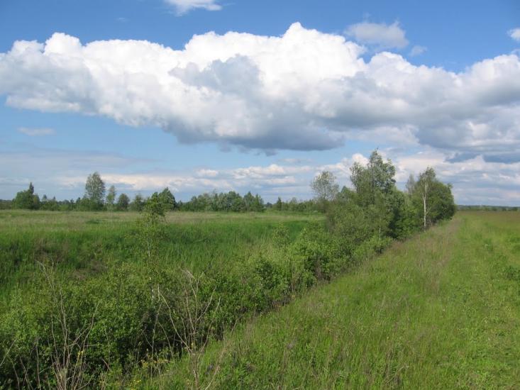 Терехівка з panoramio.com - Тереховка