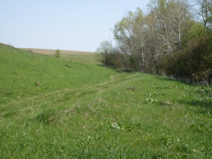 Куна з panoramio.com - Kuna