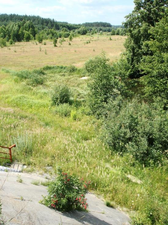 Царівка з panoramio.com - Царевка