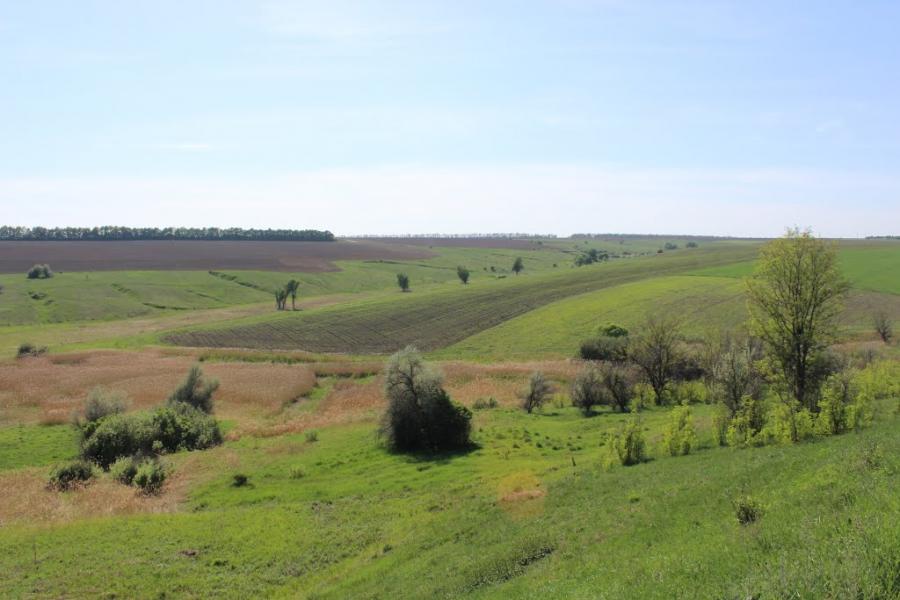 Василівка з panoramio.com - Василівка