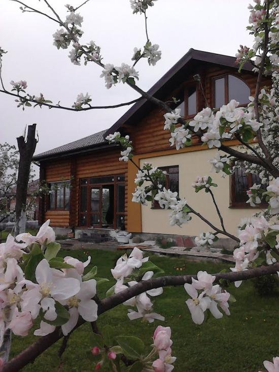 Солонка з panoramio.com - Солонка