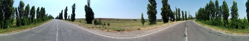 Лимани з panoramio.com - Лиманы