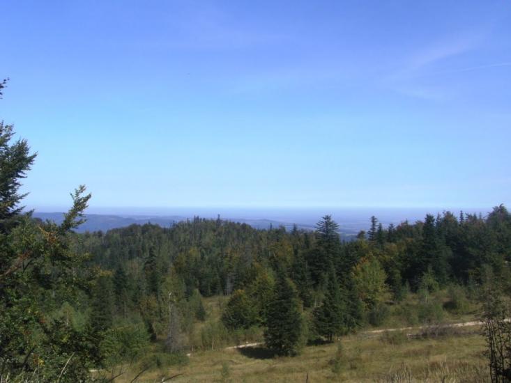 Труханів з panoramio.com - Trukhaniv