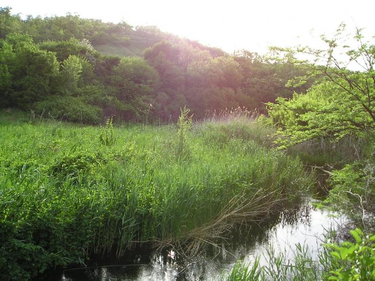 Тамбовка з panoramio.com - Tambovka