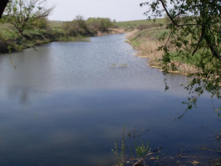 Куна з panoramio.com - Kuna