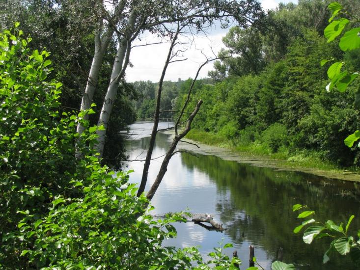 Гавронці з panoramio.com - Гавронці