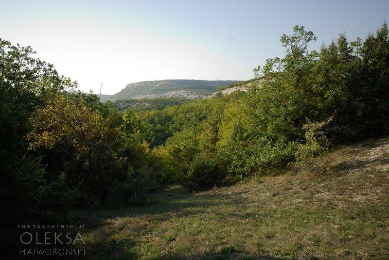 Багата Ущелина з panoramio.com - Bagata Uschelyna