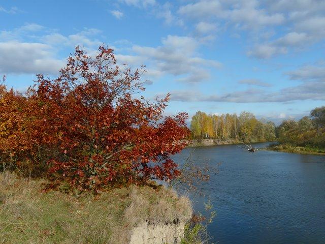 Камінь з panoramio.com - Камінь